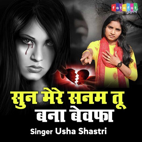 Sun Mere Sanam Tu Bana Bewafa