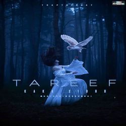 Tareef-PioJfThFUgE