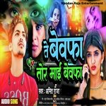 TE BEWAFA TOR MAI BEWAFA (Amit Raja)
