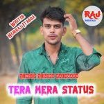 Tera Mera Status