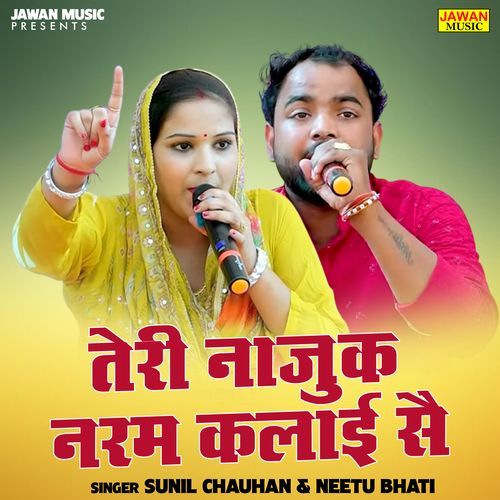Teri Najuk Narm Kalai Se