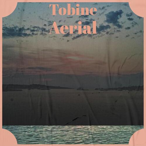 Tobine Aerial cover art