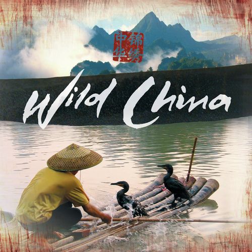 Kailash (feat. The BBC Concert Orchestra and the UK Chinese Ensemble) cover art