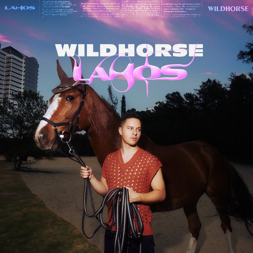 Wildhorse_poster_image