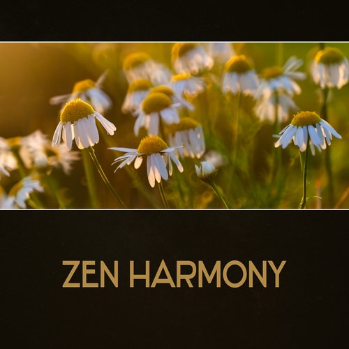 Meditation Energy cover art