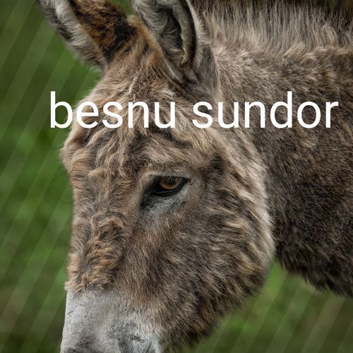 besnu sundor