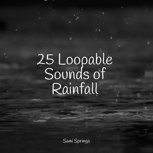 25 Loopable Sounds of Rainfall