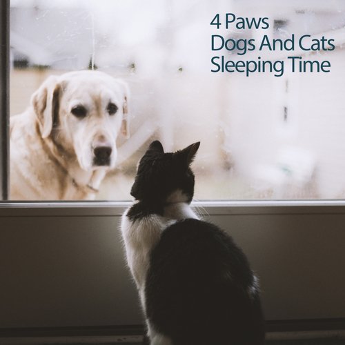 4 Paws Dogs And Cats Sleeping Time_poster_image