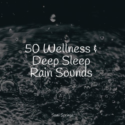 50 Wellness & Deep Sleep Rain Sounds