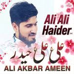 Ali Ali Haider