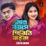 Alpo Boyose Piriti Koira