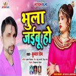 Bhula Jaibu Ho (Bhojpuri Song)