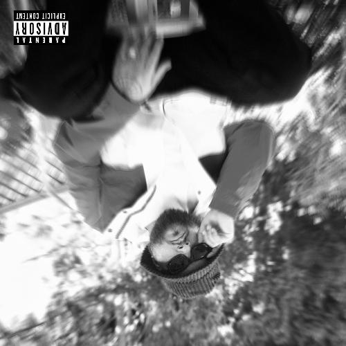 CARDONA cover art