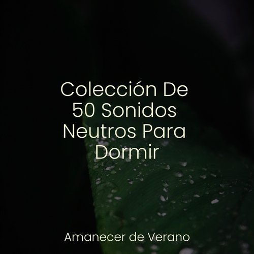 Colección De 50 Sonidos Neutros Para Dormir