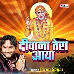 Deewana Tera Aaya