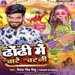 Dhodi me chate chatni