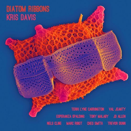 Reflections (feat. JD Allen & Tony Malaby) cover art