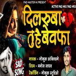 Dilruba Tu Hai Bewafa