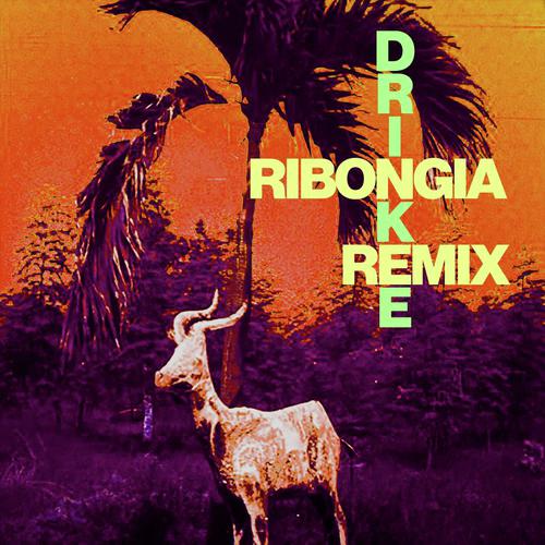 Drinkee (Ribongia Remix)_poster_image