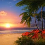 Global Lofi Hits Vol. 2