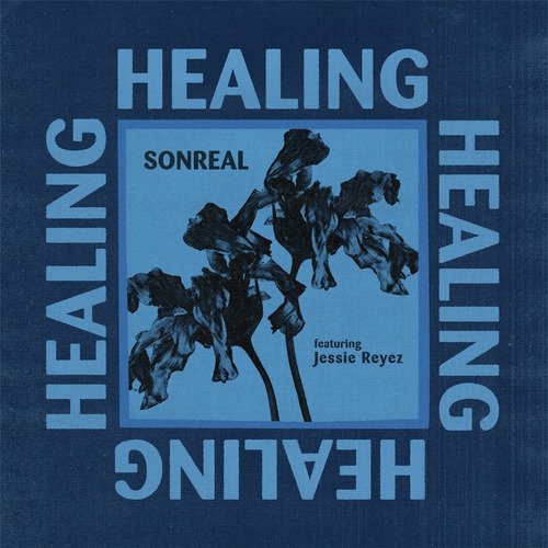 Healing_poster_image