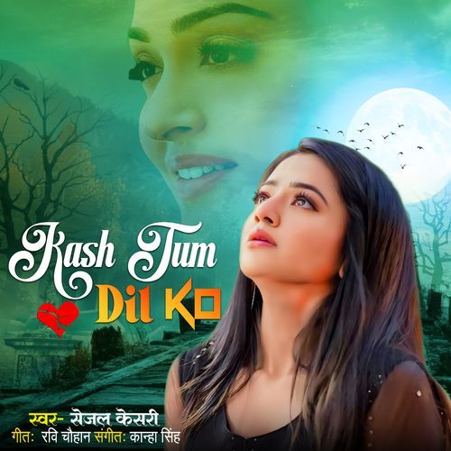 Kash Tum Dil ko