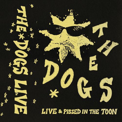 PAVEL SRNÍČEK (Live) cover art