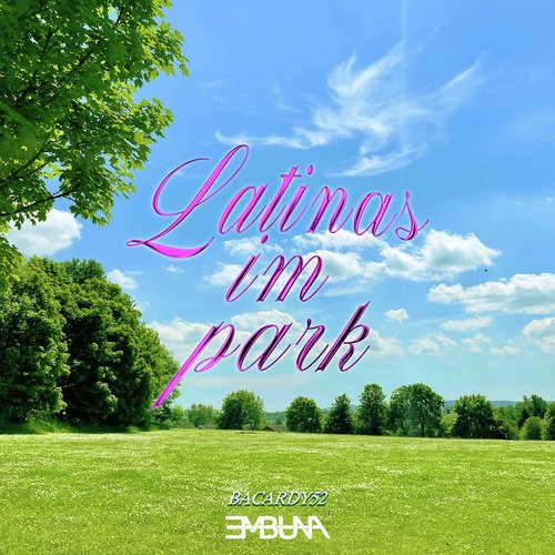 Latinas im Park_poster_image