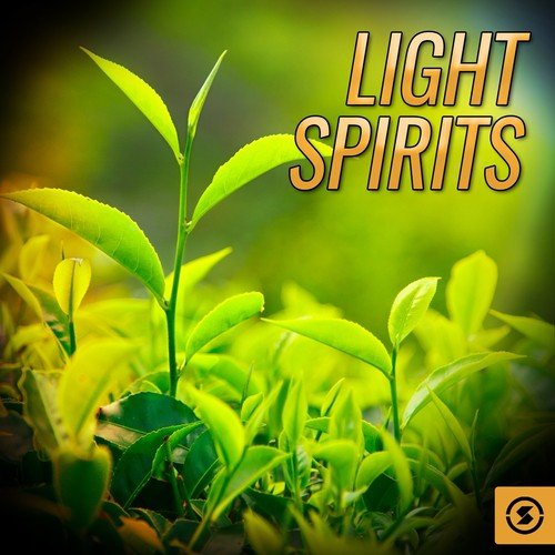 Light Spirits