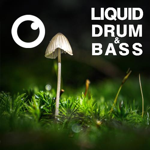 Liquid Drum & Bass Sessions 2020 Vol 30