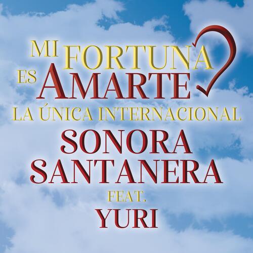 Mi Fortuna Es Amarte_poster_image