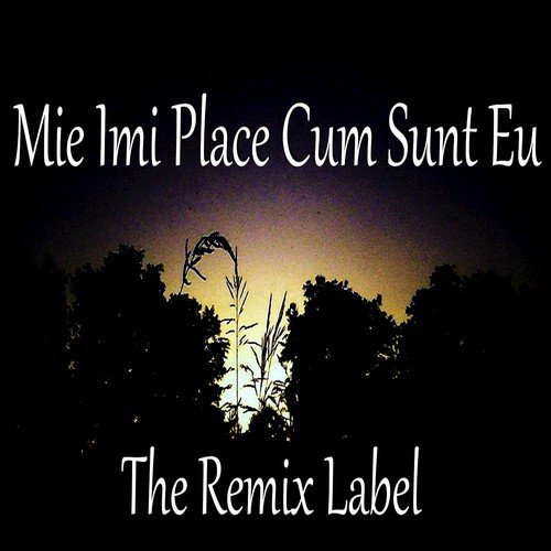 Mie Imi Place Cum Sunt (Paduraru Club Vocal Deep House Mix)
