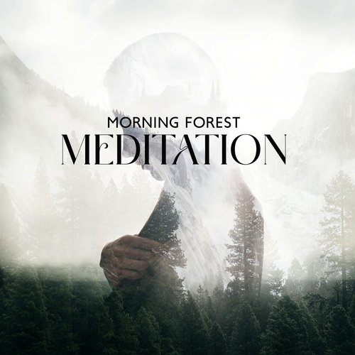 Morning Forest Meditation: Healing Melodies of Handpan, Sounds of Water and Birds