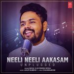 Neeli Neeli Aakasam - Unplugged