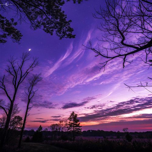 Night of Memories