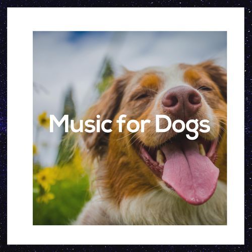 Calming for Dogs cover art