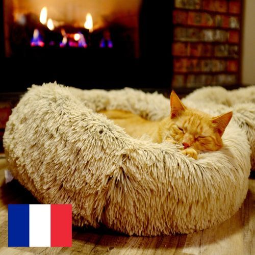 Ronronnement d'un Chat près d'une Cheminée