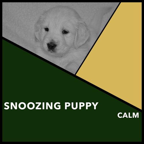 A Dog's Dream cover art