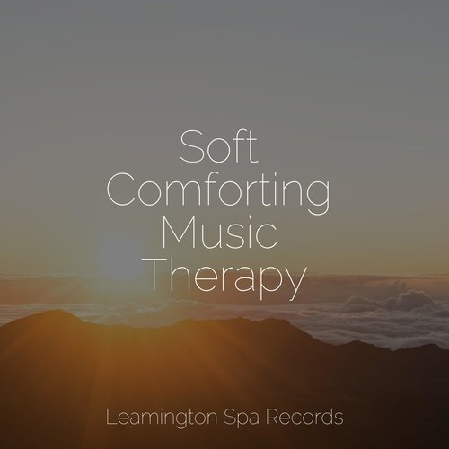 Calm cover art