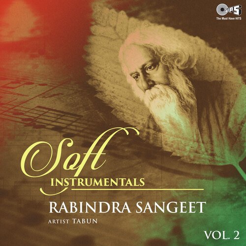 Soft Instrumentals Rabindra Sangeet Vol. 2 (Instrumental)