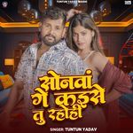 Sonwa Ge Kaise Tu Raho Hi