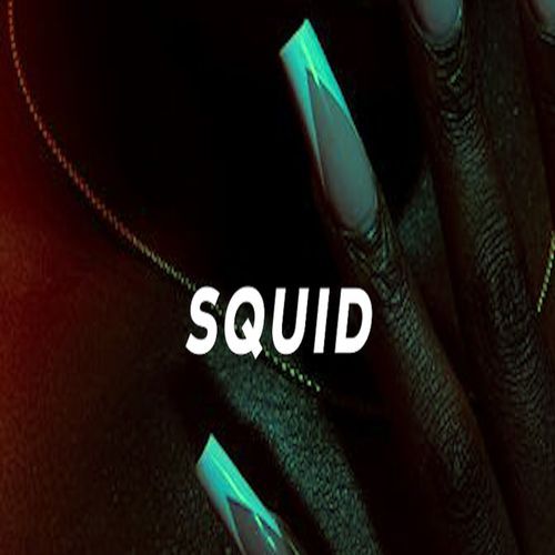 Squid cover art