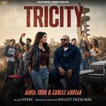 TRICITY