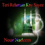 Teri Rehmato Kay Sayee