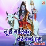 Tu Hai Malik Tere Bande Hum (Hindi)