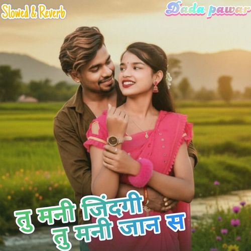 Tu Mani Zindagi Tu Mani Jaan Sa (Slowed & Reverb)