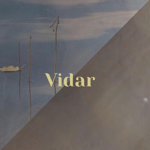 Vidar cover art