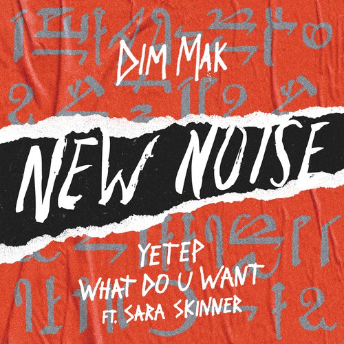 What Do U Want (feat. Sara Skinner)_poster_image