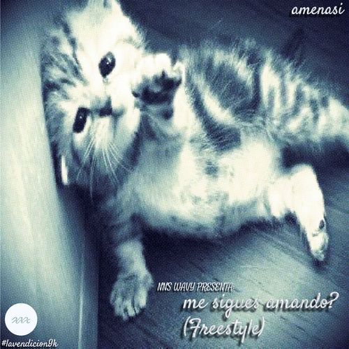 me sigues amando? (Freestyle) cover art