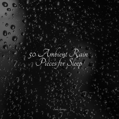 Rain, Storm and Thunder cover art